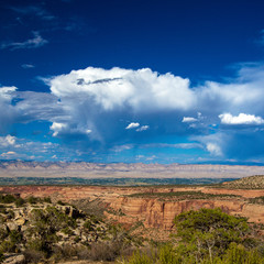 Expansive view of the canyons, plants, distant mountains, and vast sky of Colorado National Monument