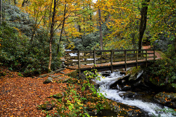 Autumn Great Smoky Mountain National Park Chimney Tops Trail