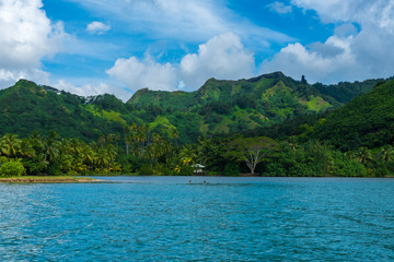 Fototapeta premium Lush Green Moorea Island