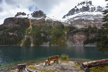Lake O’Hara Landscape View and Log Bench in Yoho National Park, Canadian Rocky Mountains