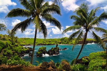 Naklejka premium Waianapanapa Black Sand Beach on the island of Maui on the Road to Hana.