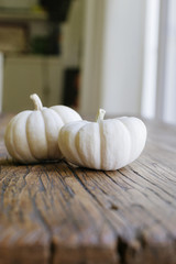 Small mini white pumpkins on a wood table