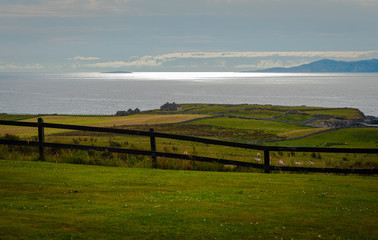 Fototapeta na wymiar Sheep Farm Looks over the Irish Sea