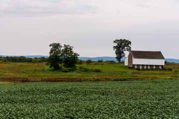 Obraz premium A White Barn