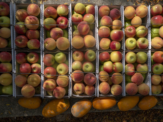 Apples and peaches displayed for sale at farmers market
