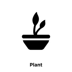plant icon vector isolated on white background, logo concept of plant sign on transparent background, black filled symbol icon