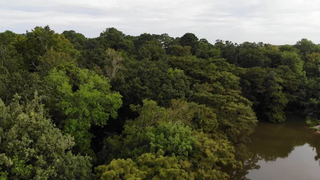 Drone descending from tree top on the bank of the San Jacinto River near Houston, Texas
