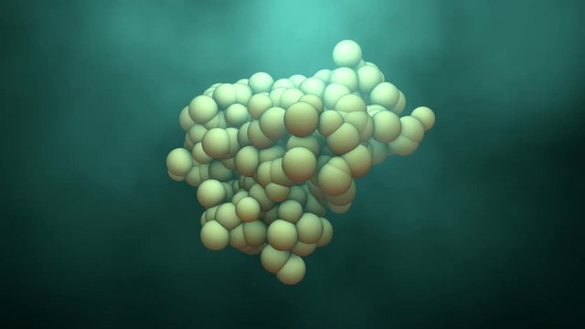 Protein or Enzyme in motion