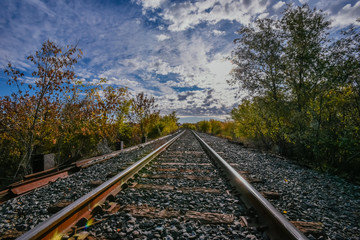 Fototapeta premium Morning tracks