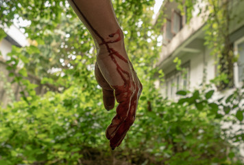 Closeup shot of Murderer's shows bloody hands . © peefay