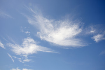 Bird shaped cloud in bright blue sky.