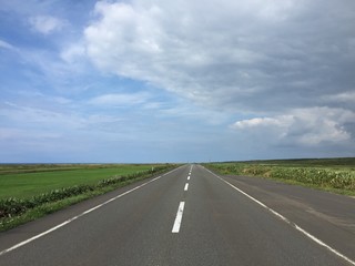 Fototapeta premium straight road