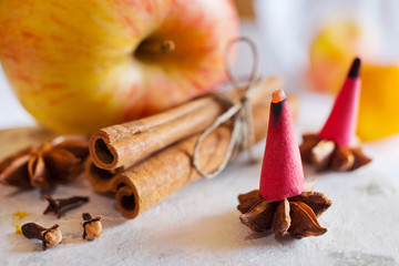  traditional Czech christmas and advent time - smoking incense cones and star anise and cinnamon...