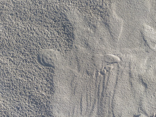 Fototapeta na wymiar faint footprint impression in rippling and stippled sand