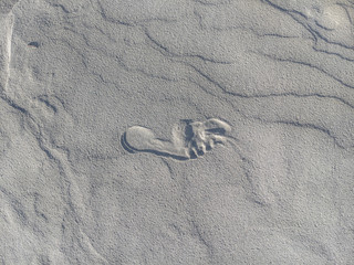 footprint impression in rippling sand