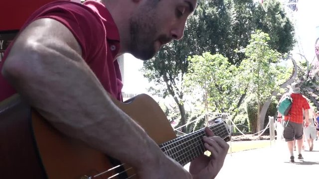 Guitarrist Musician busking in the park