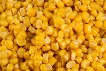 Corn Kernels Texture Top-down View