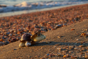 Image of a turtle made from shells. Handmade.