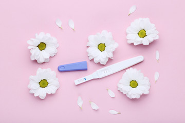 Pregnancy test with chrysanthemum flowers on pink background