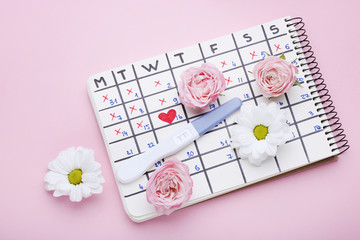 Pregnancy test with paper calendar and flowers on pink background