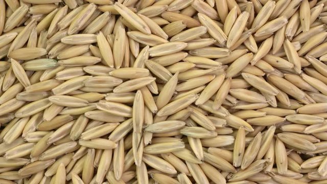 closeup of whole, organic oat groats - rotating background