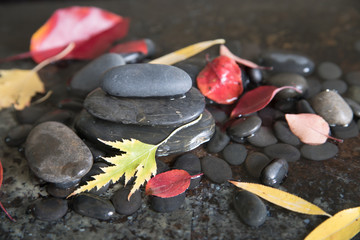 Fall leaves and river stones in water