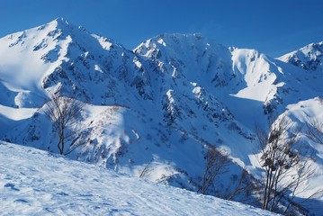Fototapeta premium Hakuba valley in winter
