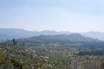 Fototapeta na wymiar Burned area around Yosemite valley