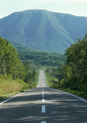 Carretera camino asfalto