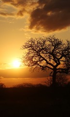 Fototapeta na wymiar Sunrise in Africa