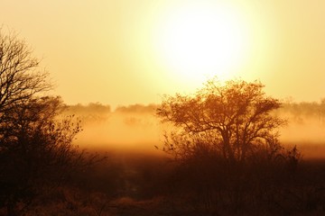 Fototapeta na wymiar Sunrise in Africa