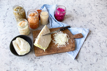 Fermented preserved vegetables