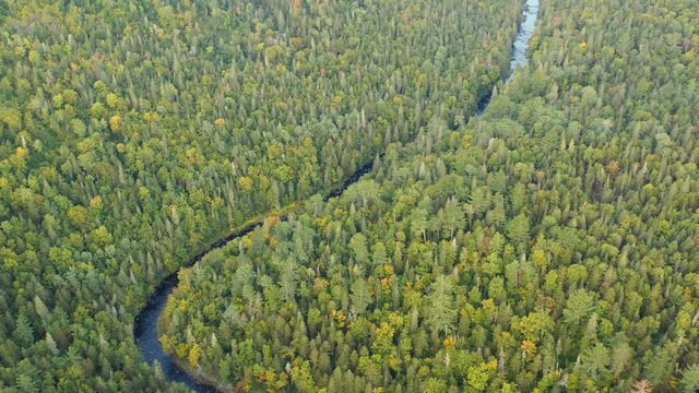 Drone footage flying along a winding river in the forest in the morning.