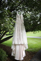 Ivory A-Line Wedding Dress Hanging from a Tree Branch - Wedding Gown with Lace Detail