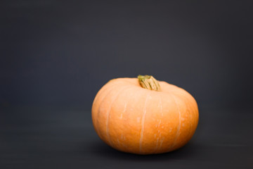 big orange pumpkin on a grey background