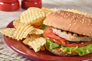 Salmon burger close up