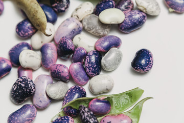 Multicolored beans on white background