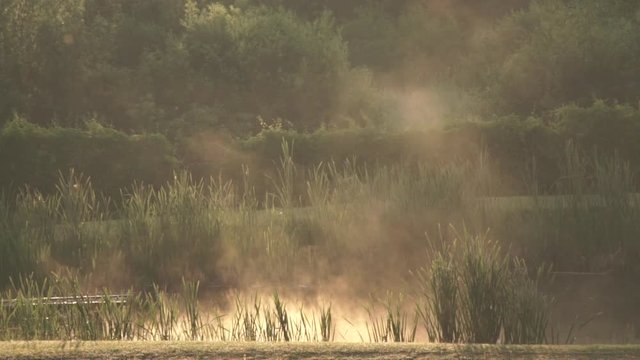 Fog over the pond at sunrise