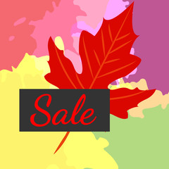 Autumn leaf and the sale. Website banner template