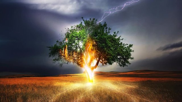 Cinemagraph of lightning storm on tree in field