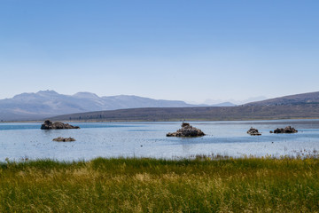 Fototapeta na wymiar Tufa rock formation characteristic of Mono lake