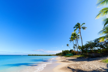 White sandy beach on a small Pacific Island - obrazy, fototapety, plakaty