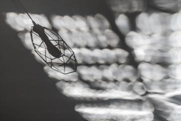 Abstract shadows on a white ceiling 