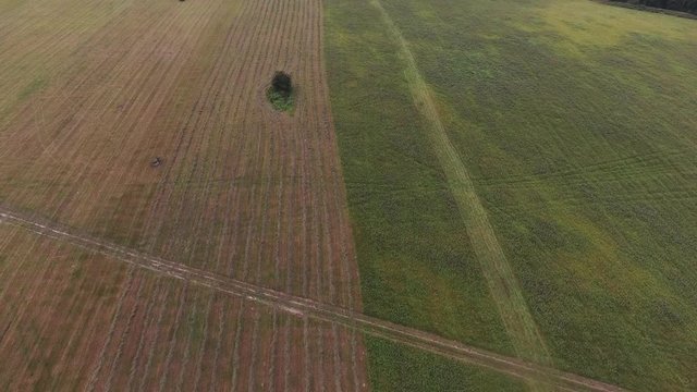 Aerial drone shot of large green and grey farmland field divided to two parts with area of plowed and mowed surface, and other area with unpowed and unmowed surface.