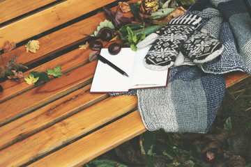 kawa i ciepłe ubrania na ławce w parku - obrazy, fototapety, plakaty