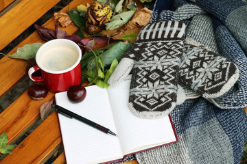 kawa i ciepłe ubrania na ławce w parku - obrazy, fototapety, plakaty