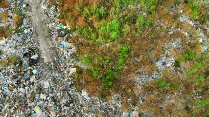 Garbage dump. Aerial. Pollution of environment. The battle of nature with pollution.