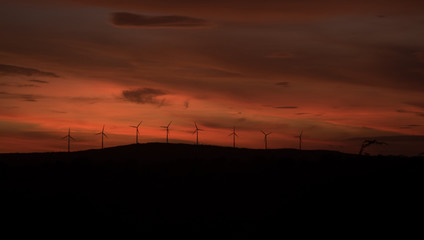 Wind Turbines On Hill At Sunset