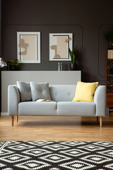 Real photo of a grey sofa with pillows, paintings on the wall with molding and geometrical carpet in a living room interior