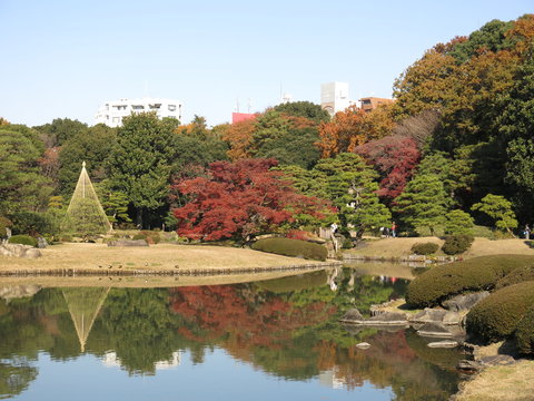 紅葉が彩りを添える秋の六義園　Rikugien Gardens